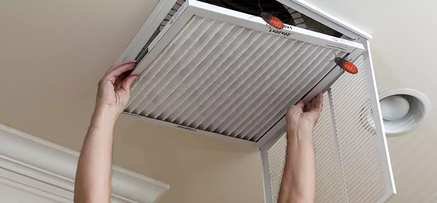 Preventive Cockroach-Proofing for Ducts in Akron
