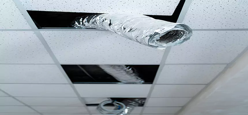 Affordable HVAC Sanitizing After Pest Removal in Akron