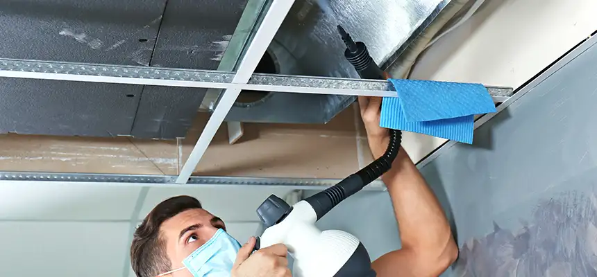 Our Air Duct Rodent Removal Services in Akron, OH