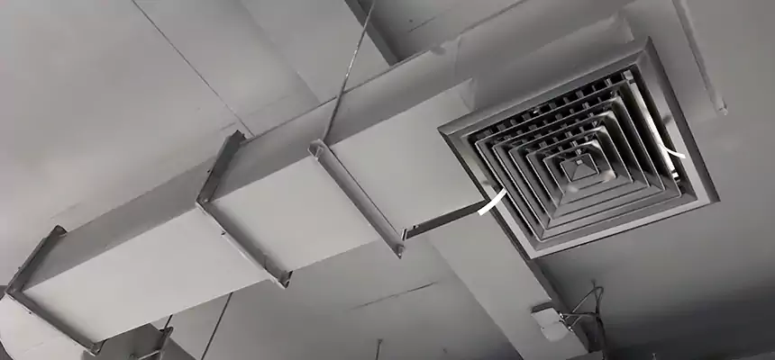 Our Pest Removal From Ducts Services in Akron, OH