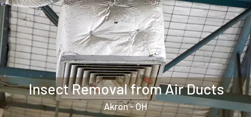Insect Removal from Air Ducts Akron - OH