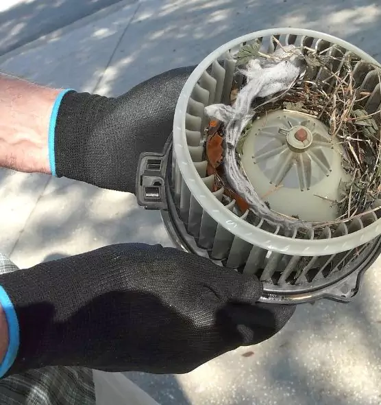 About Air Duct Mice Removal in Akron, OH