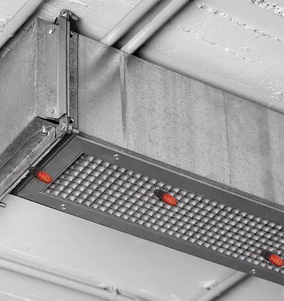 Affordable Insect Removal from Air Ducts in Akron, OH