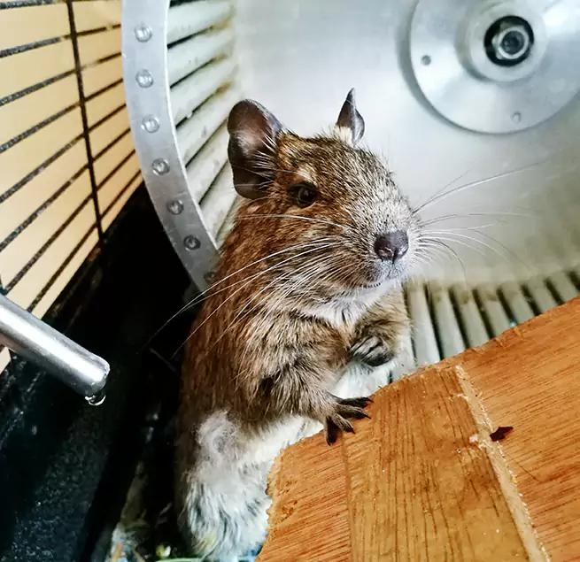 Why Homeowners & Businesses Trust Us Akron, OH